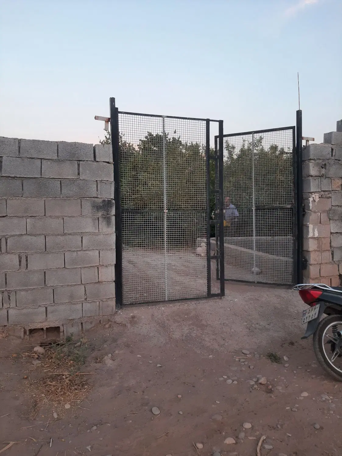 باغچه