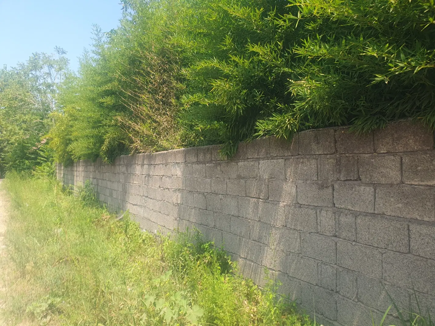 فروش زمین مسکونی