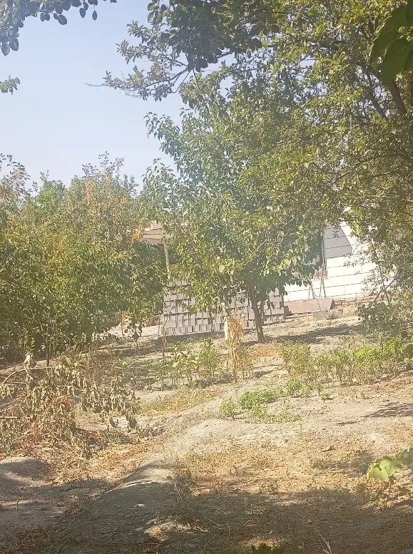 باغ۹۸۰متر امتیازات کامل