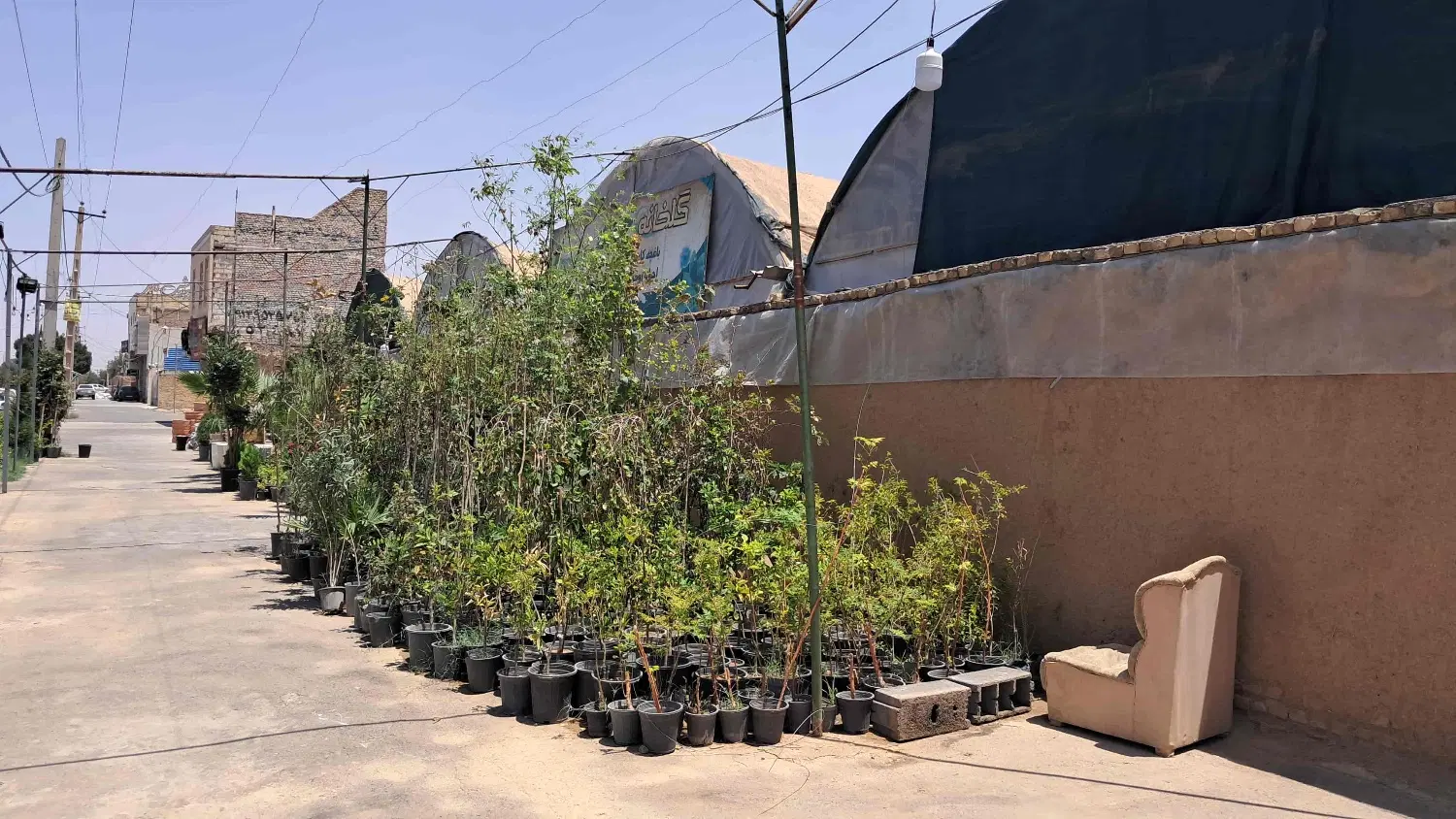اجاره زمین چهار دیواری گل و گیاه ، کافی شاپ و...