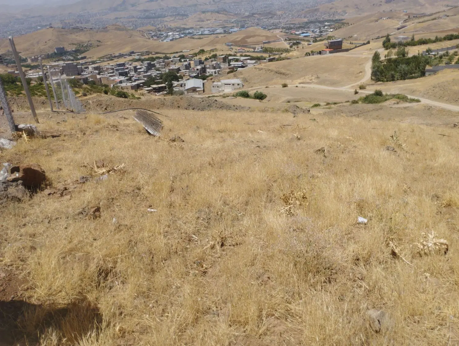 زمین