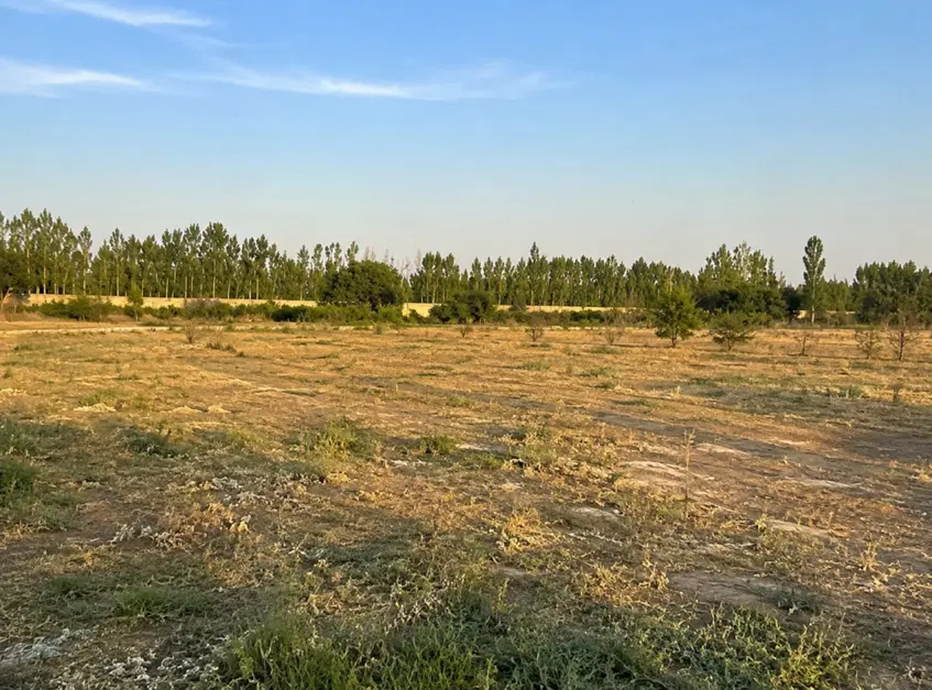 زمین باغی و زراعی