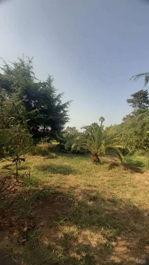 زمین ویلایی کاسبی