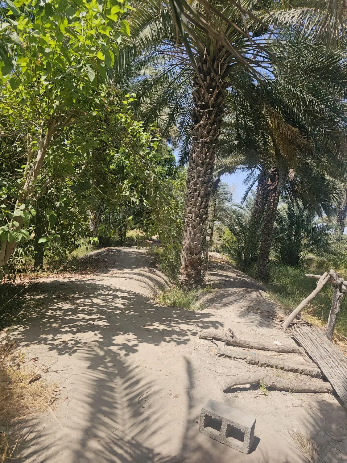 فروش باغ سبز برا خونه باغ تالار و اقامتگاه