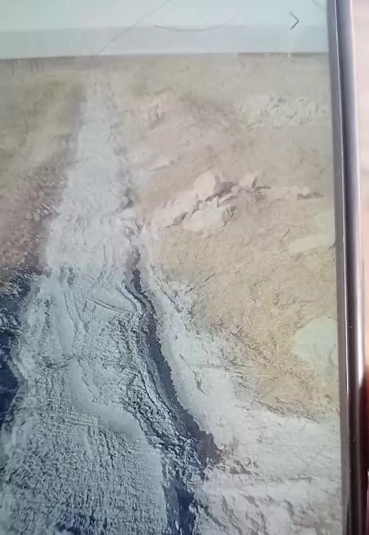 فروش زمین باغی