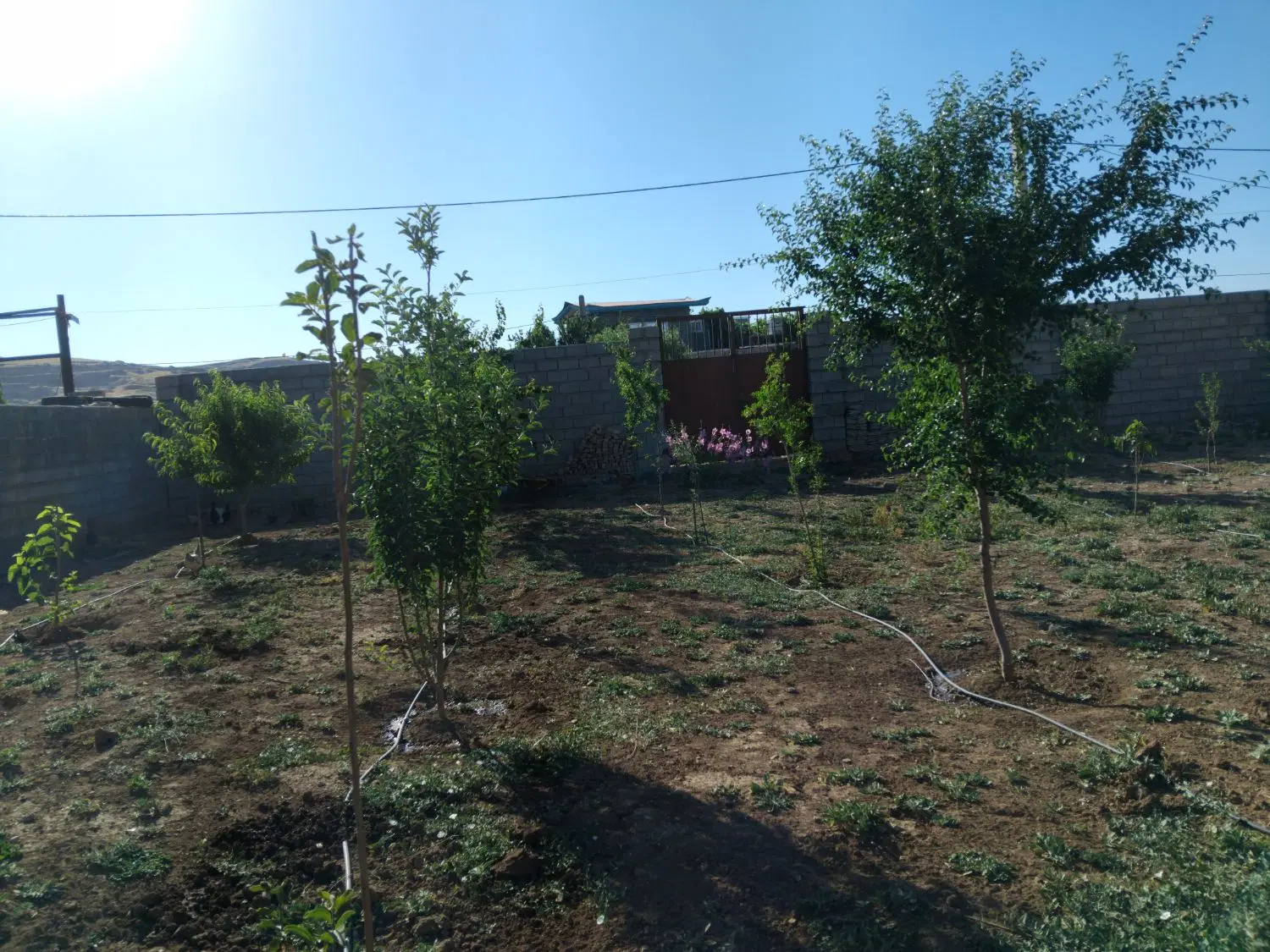 فروش باغ شرایط عالی