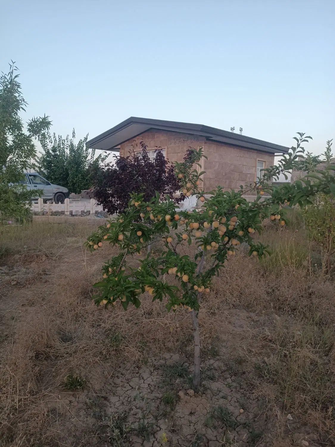 باغ اسپیران قره گول