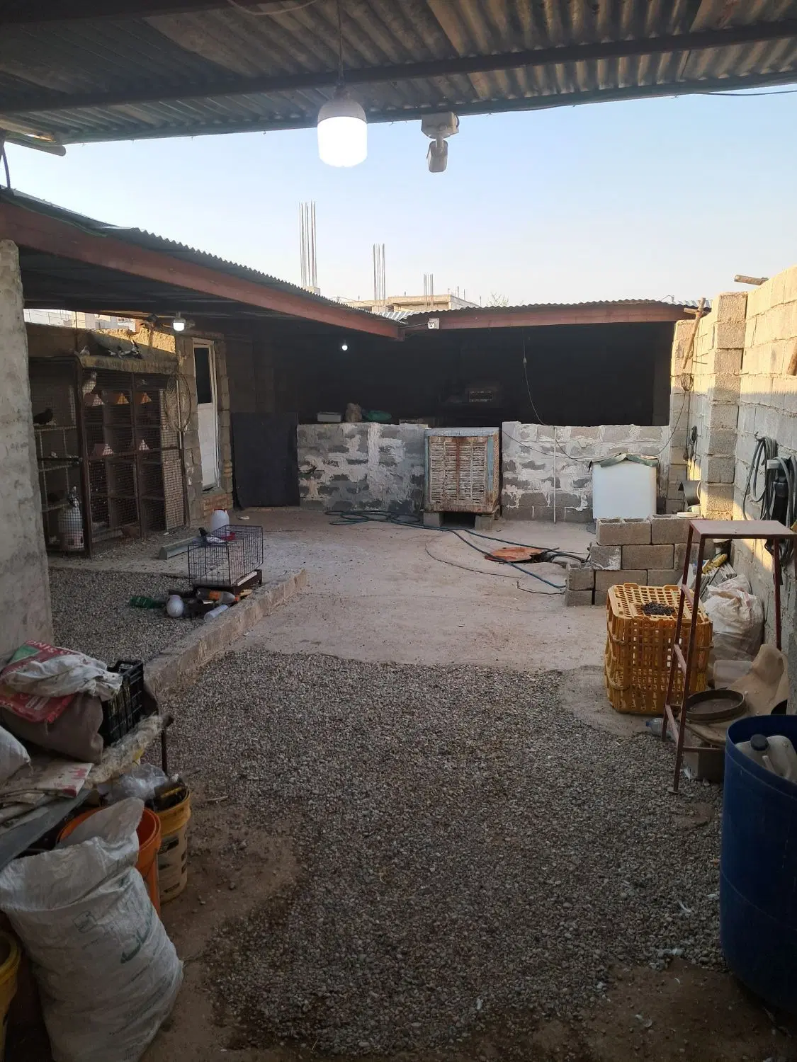 دامداری