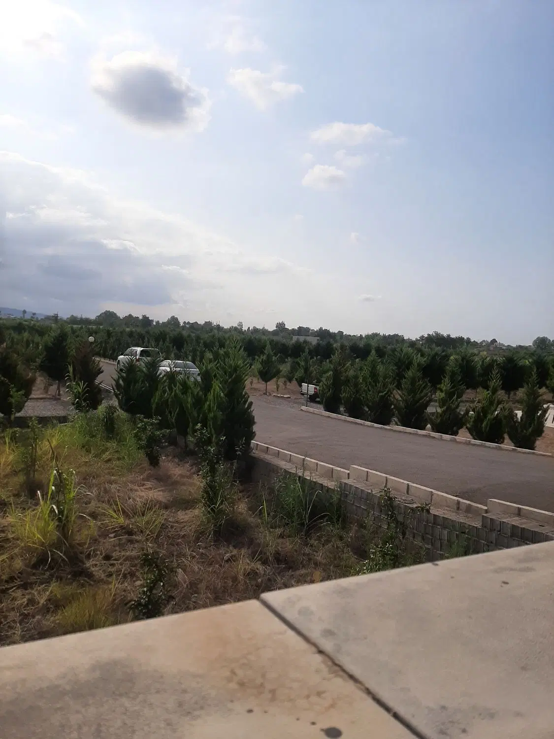 دو قواره زمین  ۲۲۷ متری