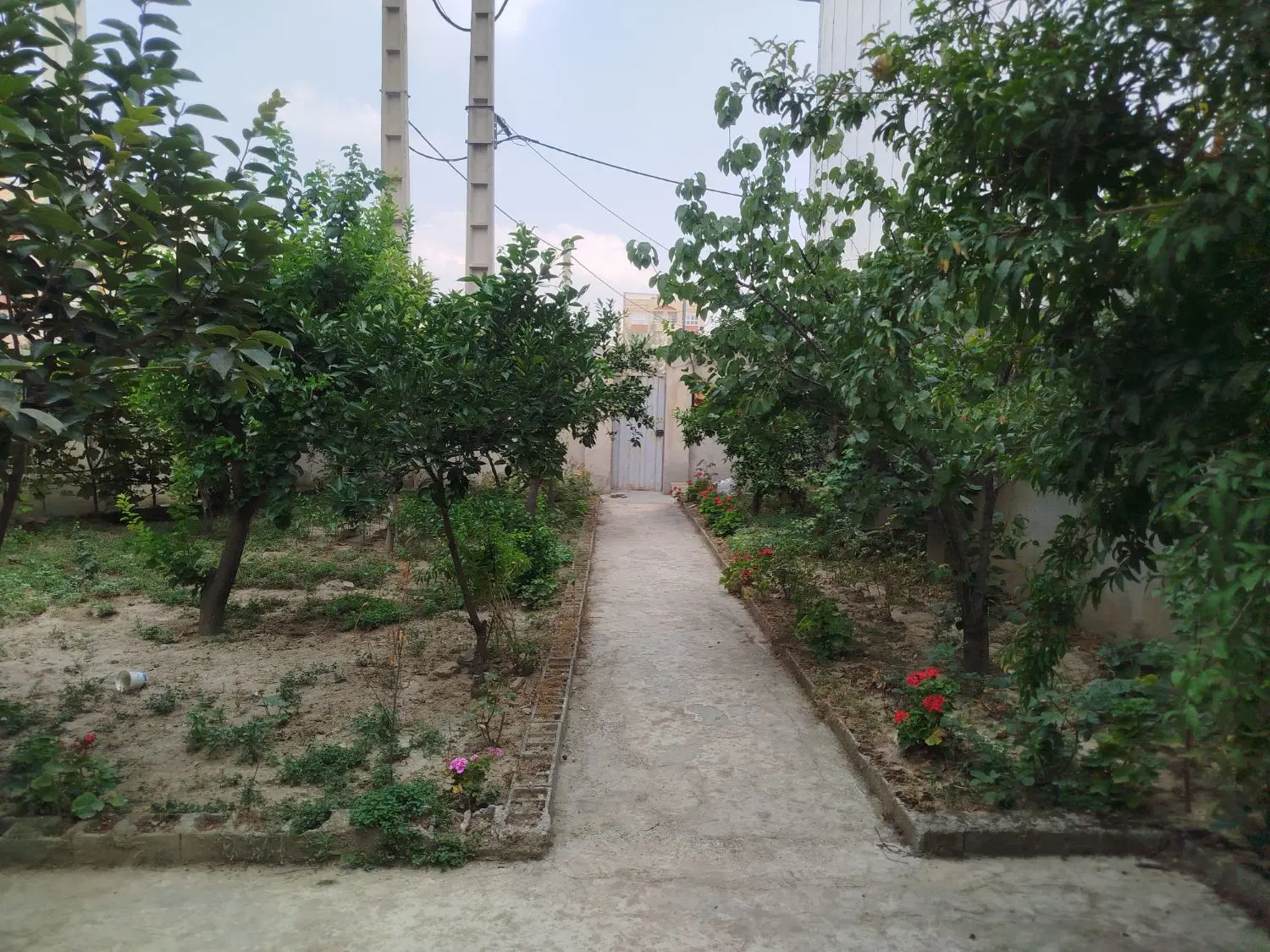 زمین تجاری مسکونی