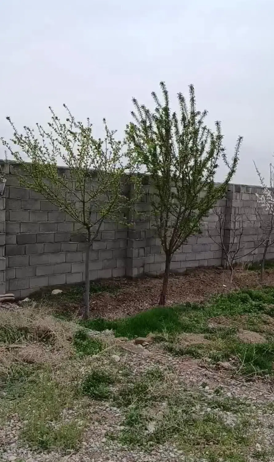 زمین مسکونی خوش نقشه و قیمت مناسب