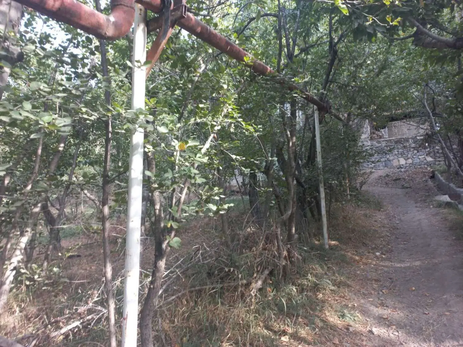 باغ قبل از روستای زشک