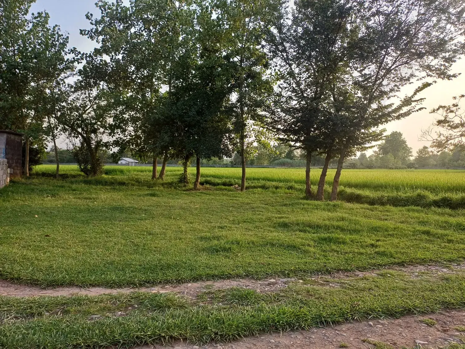 زمین‌‌ مسکونی در طالم سه شنبه
