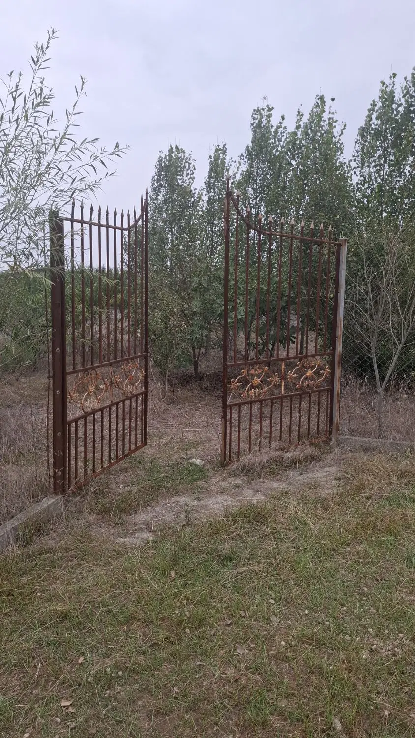 شموشک بالا زمین باغی