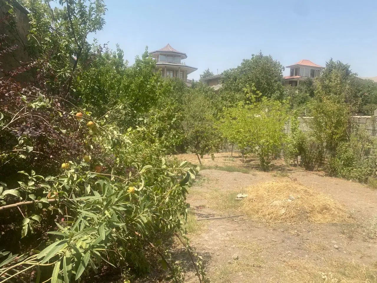 ۲۶۱ متری طالقان زیاران خیابان گوهر  چهار دیواری