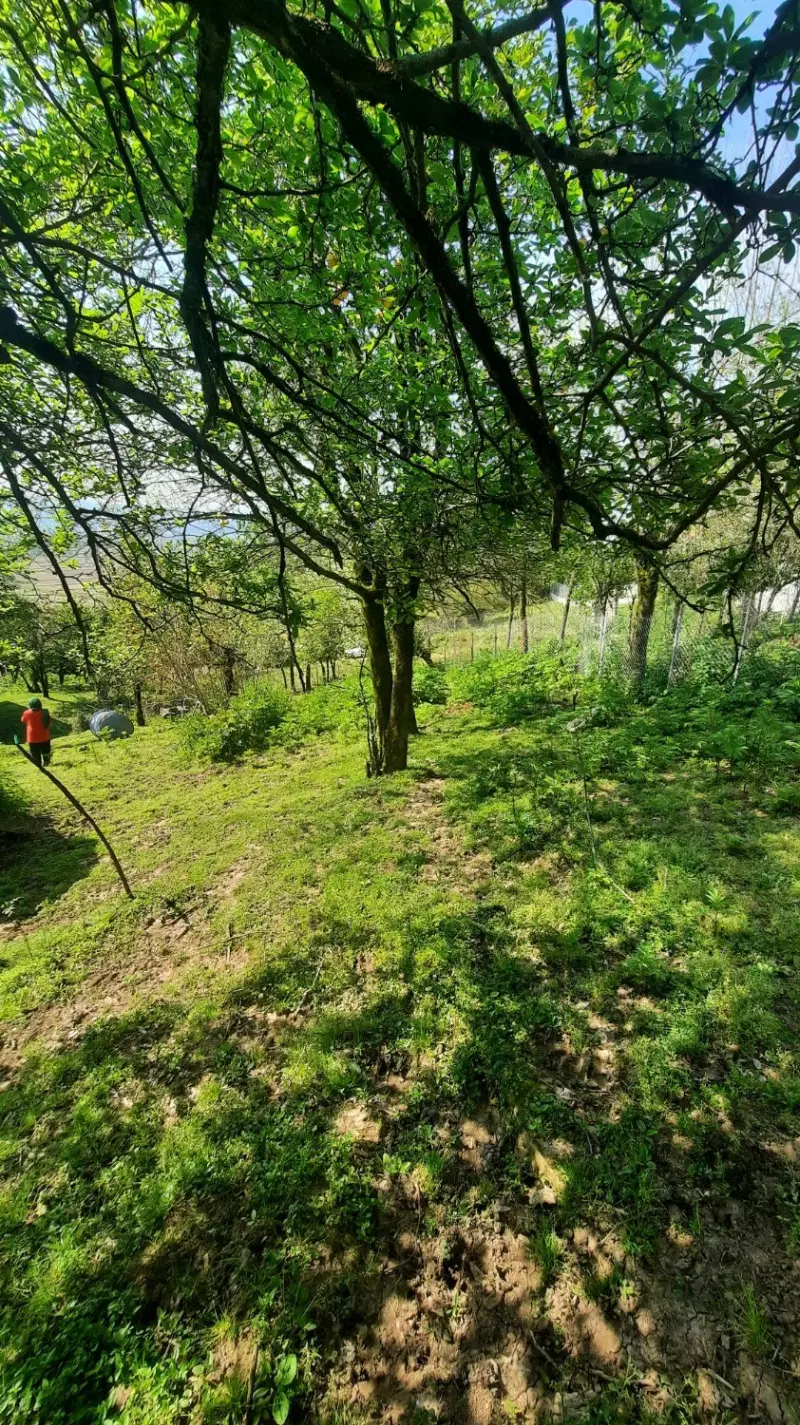 زمین مسکونی مناسب ساخت و سرمایه‌گذاری