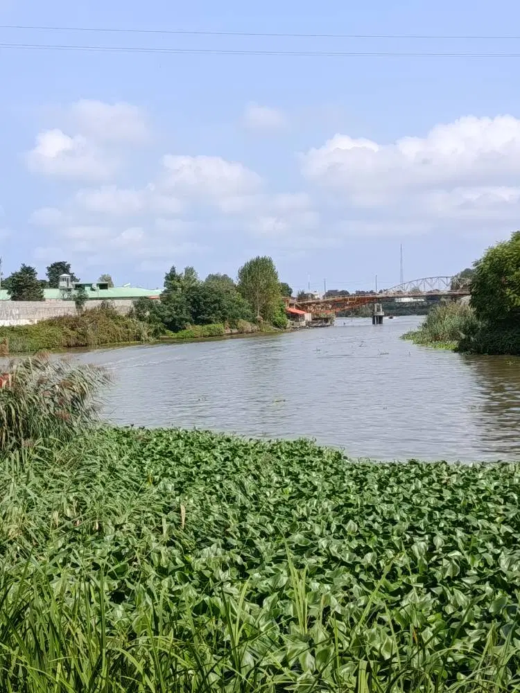 اجاره ویلا در دل تالاب انزلی