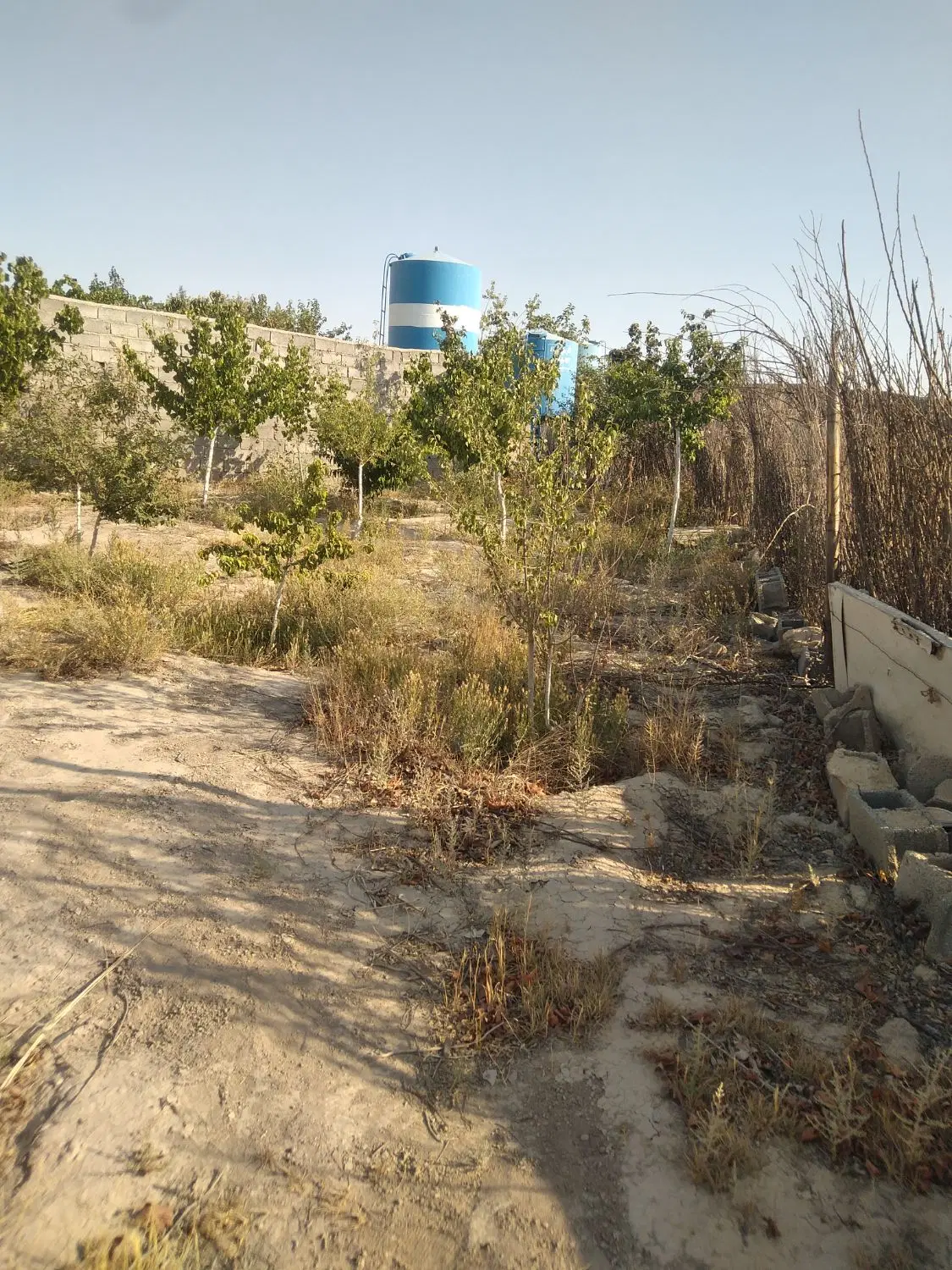 باغچه تقریبا450متری