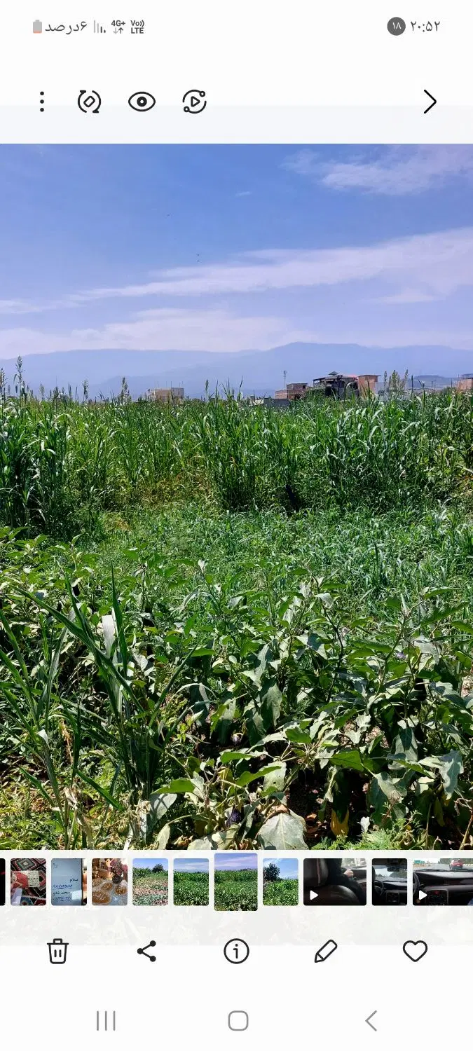 زمین فروشی