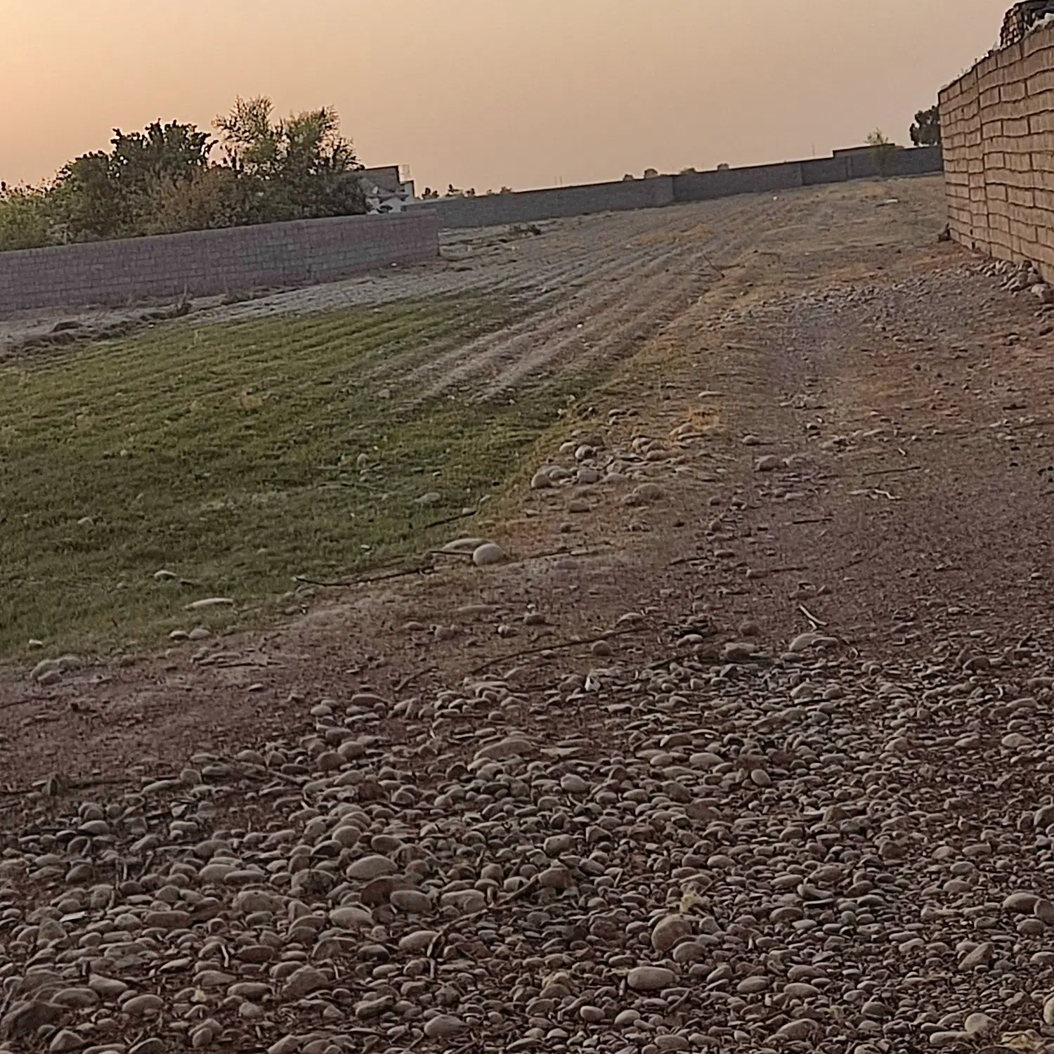 زمین بنواررشامی