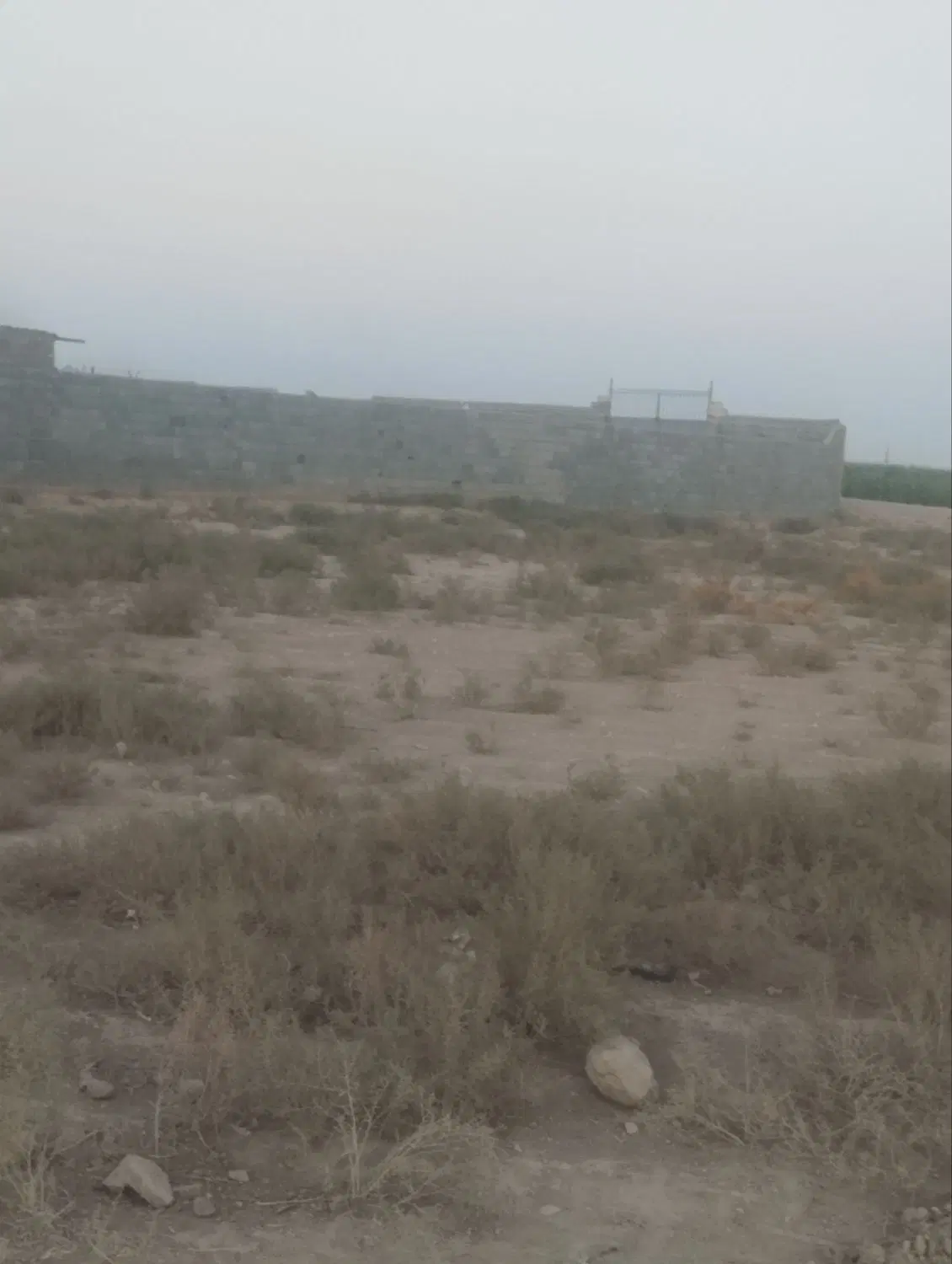 زمین کشاورزی جمال اباد