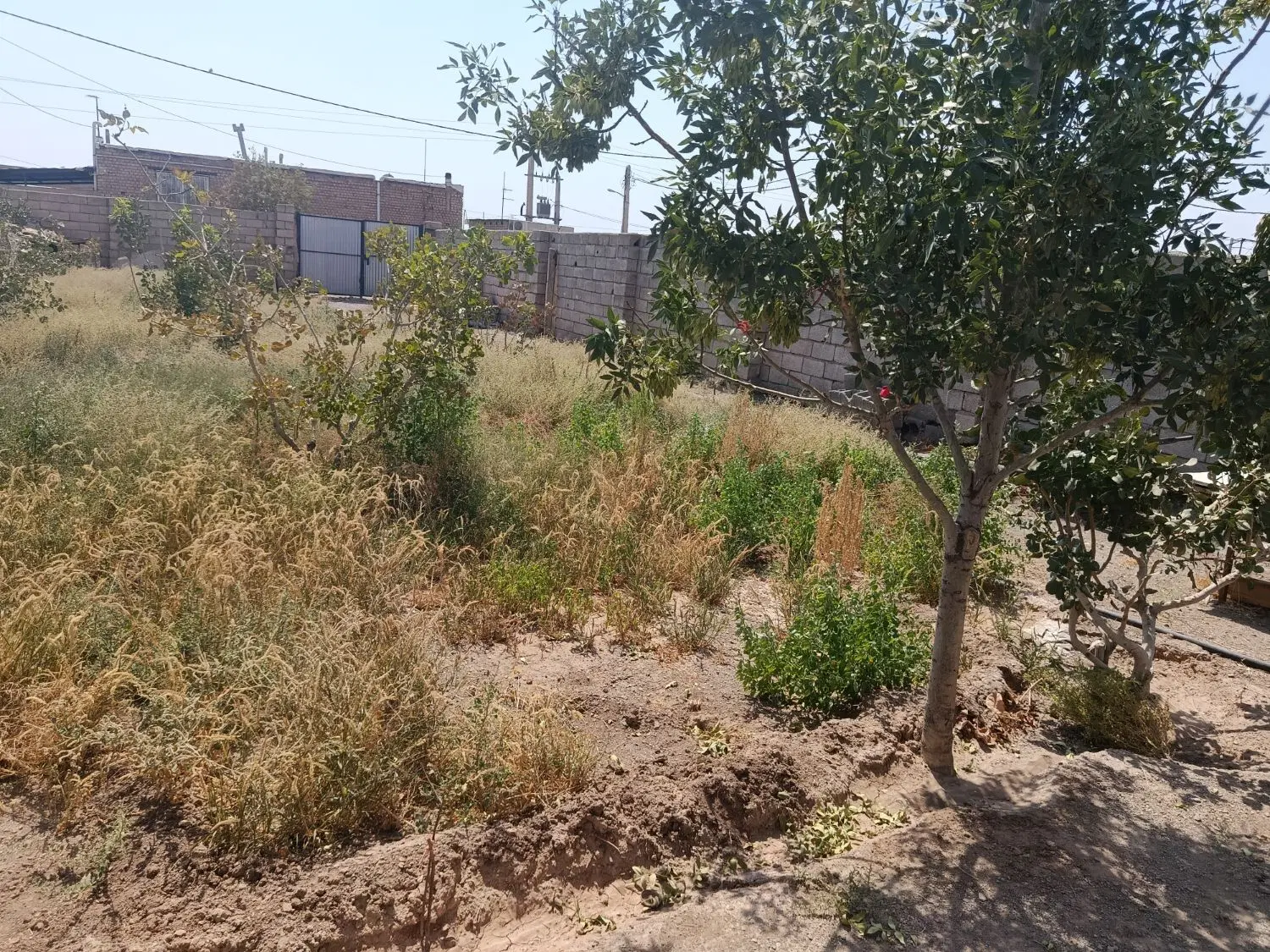 زمین مسکونی