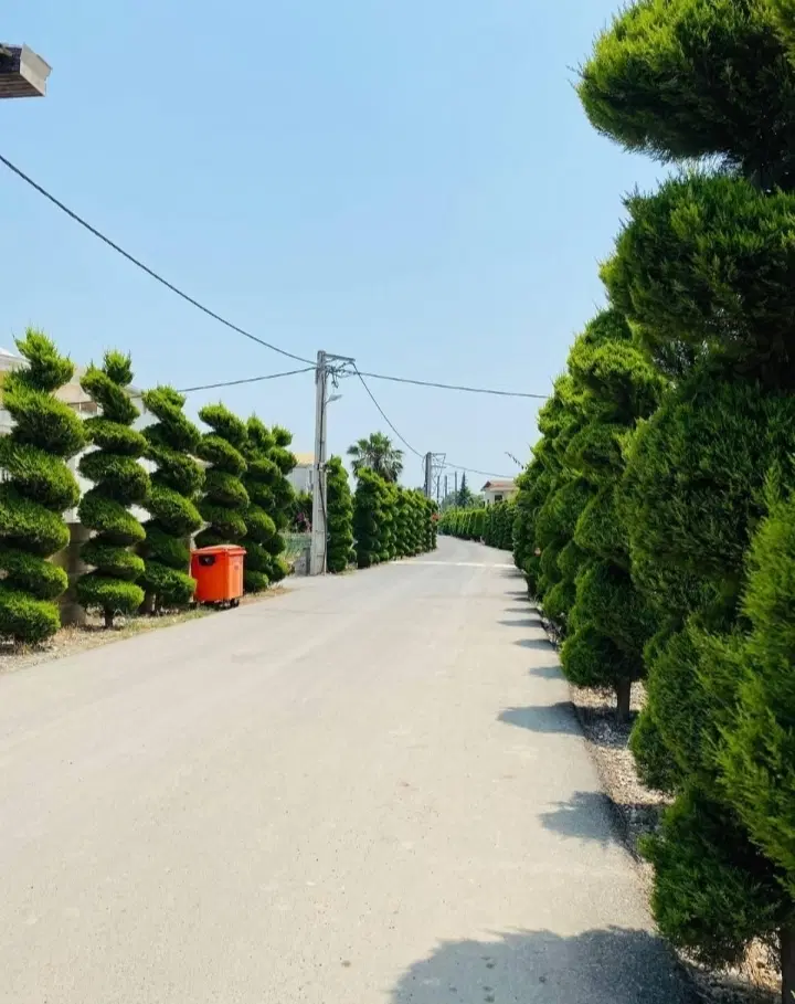 منطقه امیر اباد زمین ۳۰۰ متری سنددار ۳ کنتور