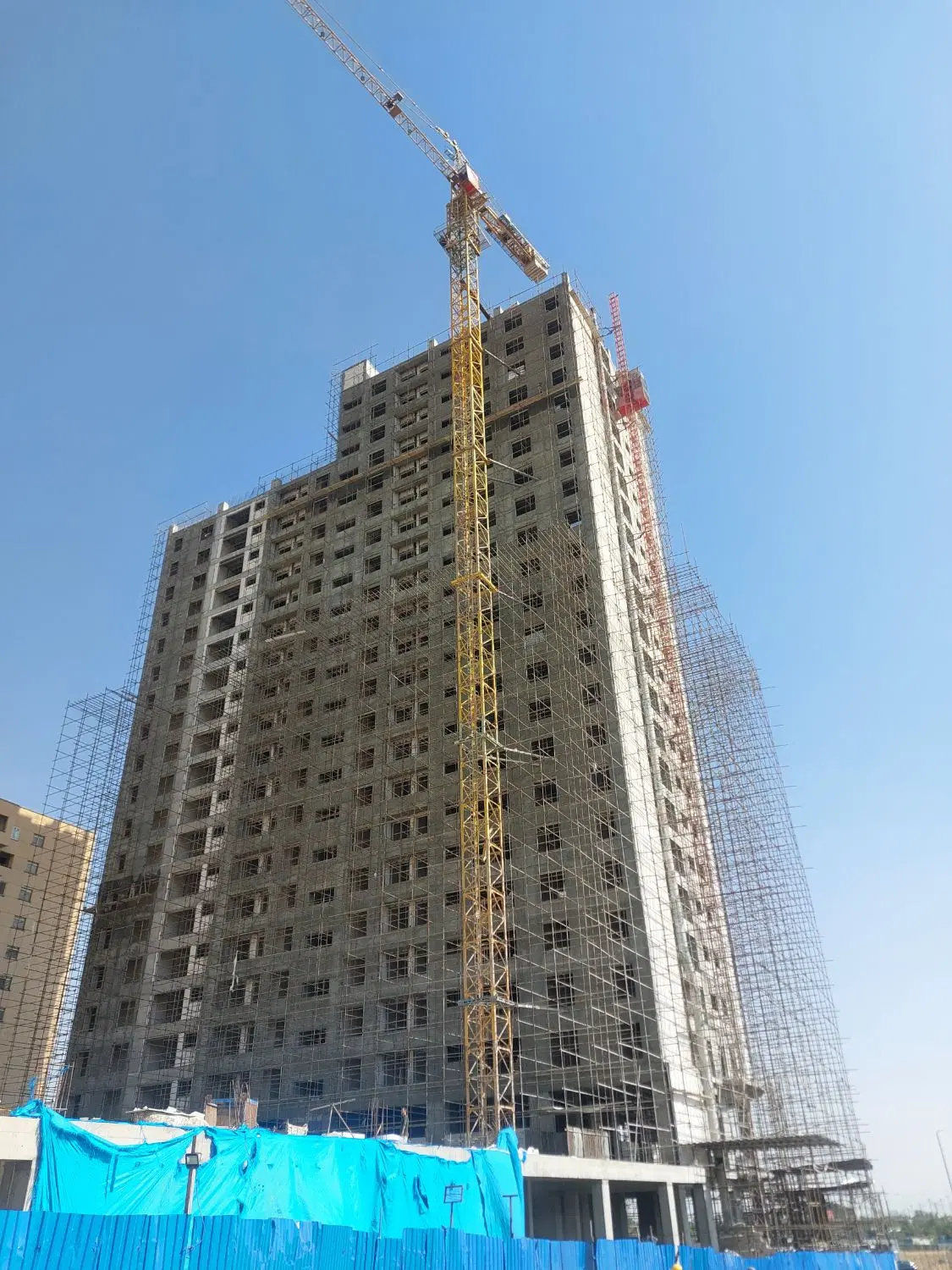 مرجان h2 طبیعت n.d ارتش