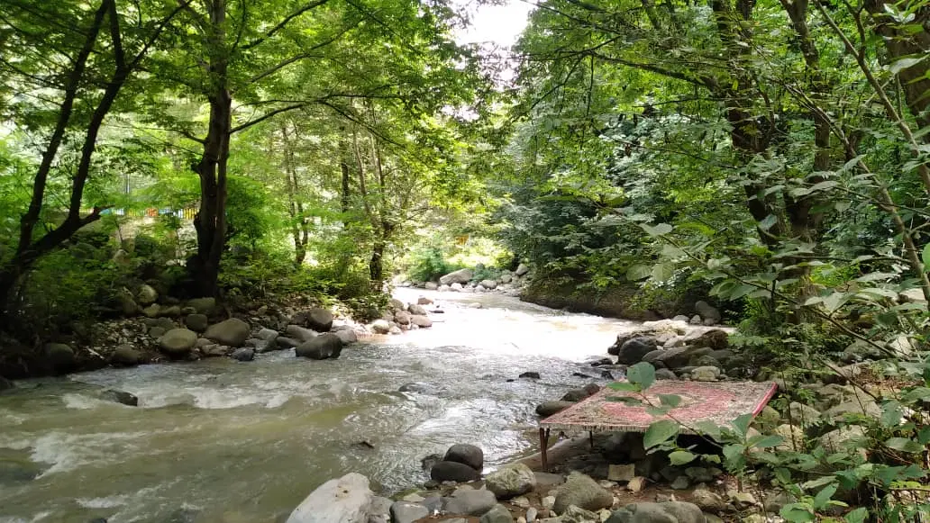 جنگلی لب رودخونه ۵خواب دربستی