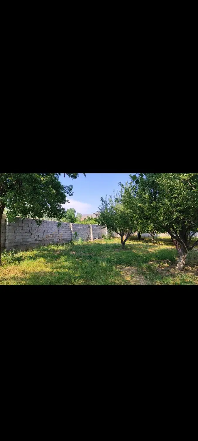 باغ در اسپیران