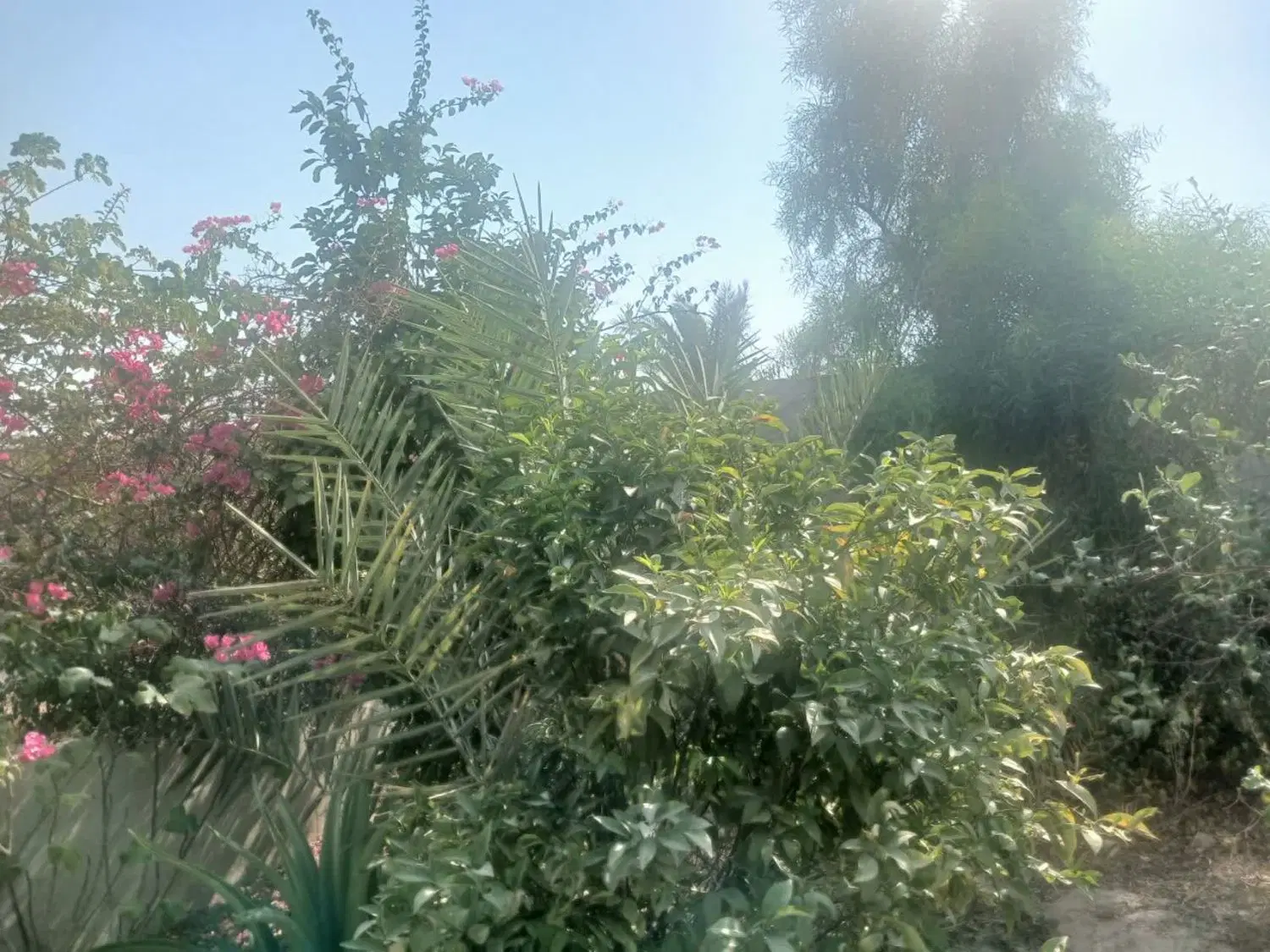 باغ ویلا 3500متری