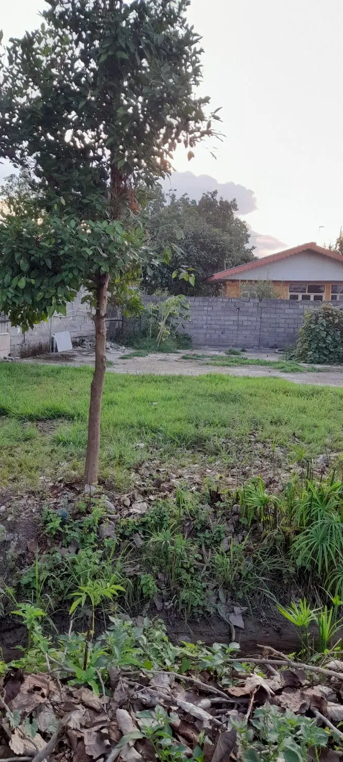 زمین مسکونی