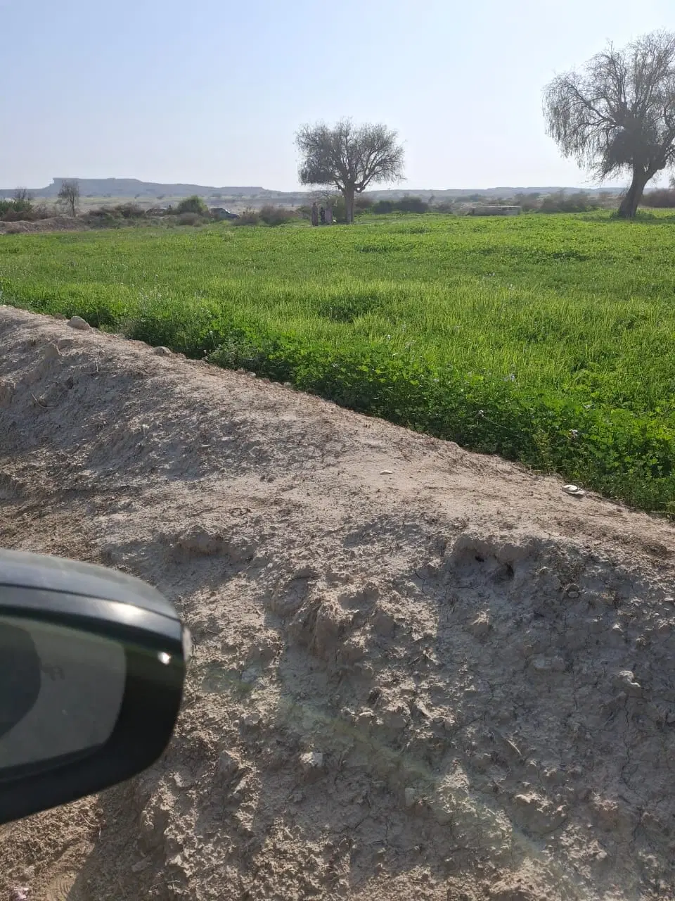 فروش یک قطعه زمین کنگ کوی فرمانداری