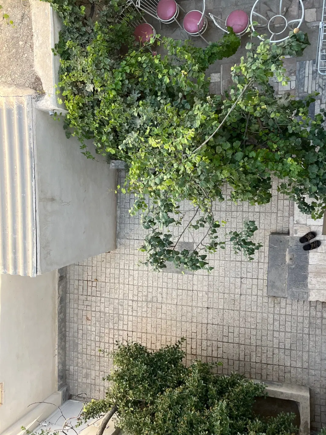 اجاره آپارتمان ۱۱۰ متری با حیاط اختصاصی همکف