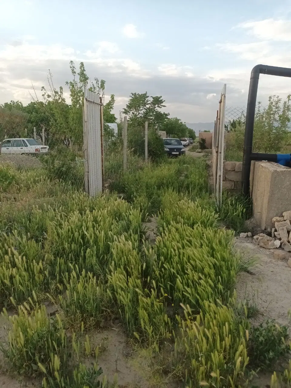 فروش و اجاره زمین