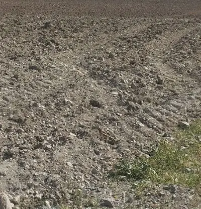زمین شهرک صنعتی  زمین براتوبان متراژ بالاموجود