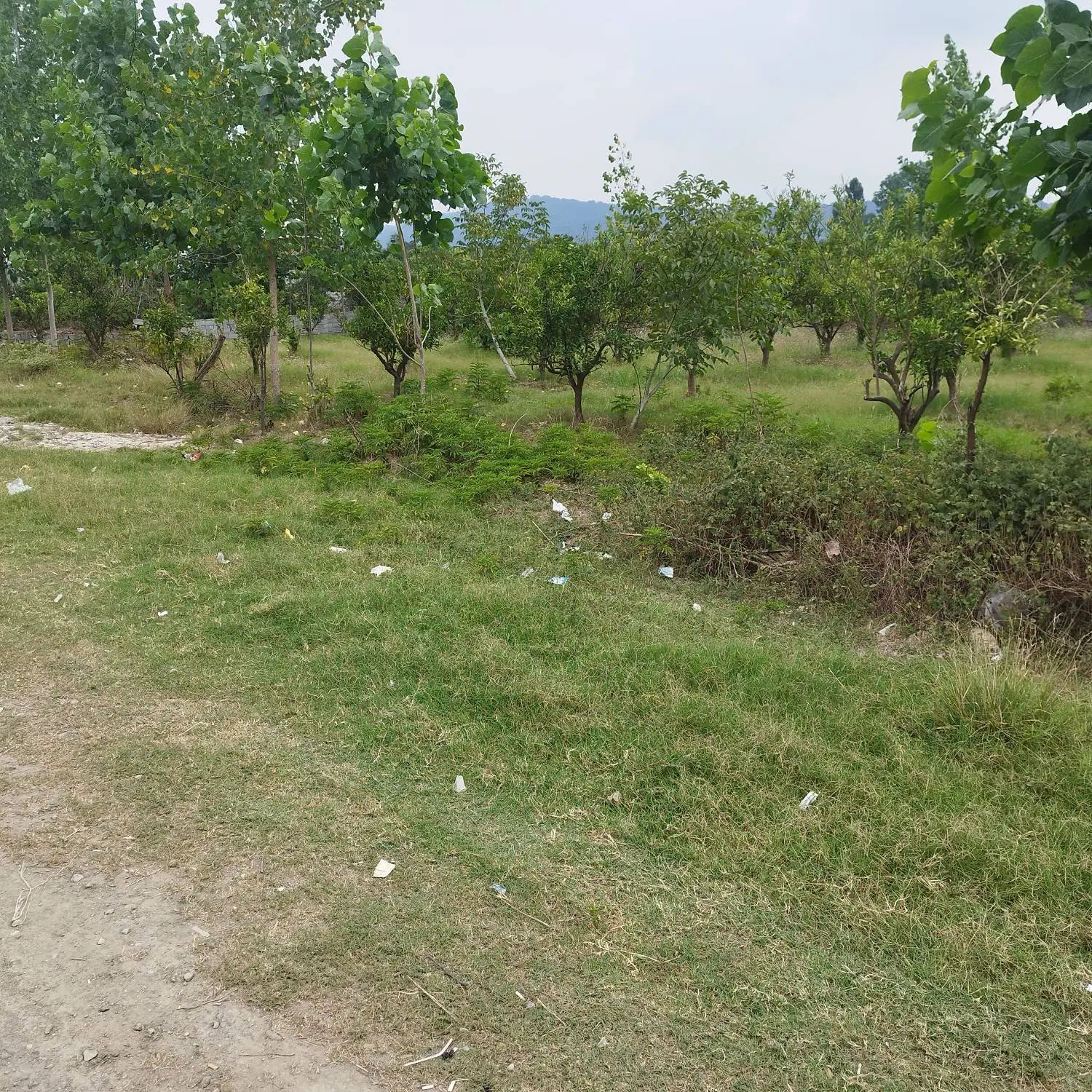 یک قطعه زمین