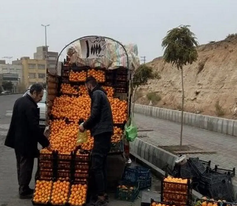 جا شهرداری برای میوه فروشی میخام