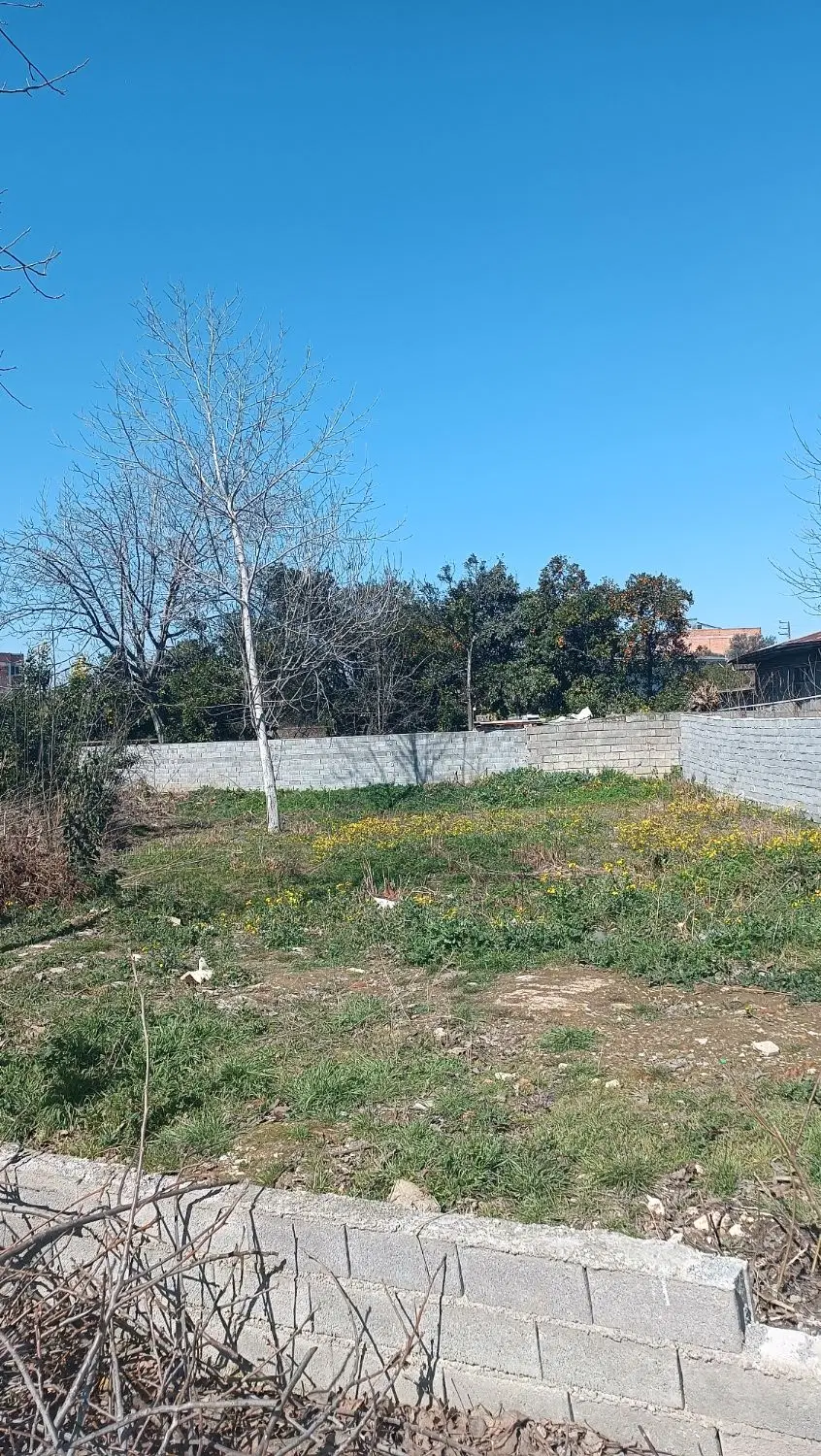فروش زمین در خیابان کفشگرکلا