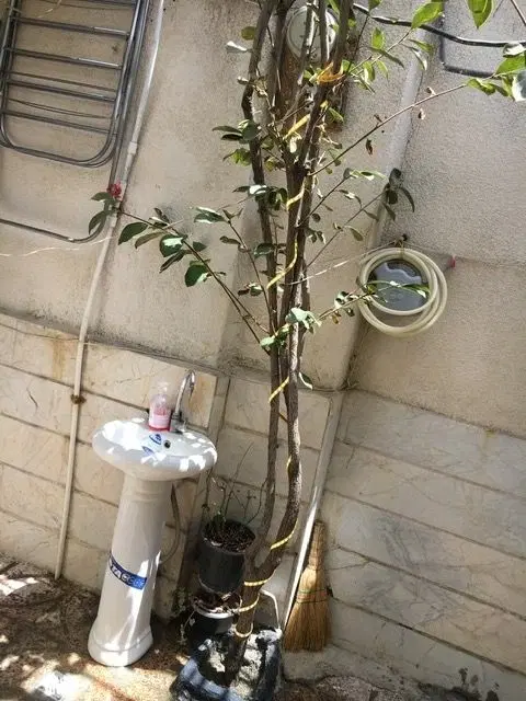 خانه ویلایی قلعه میر