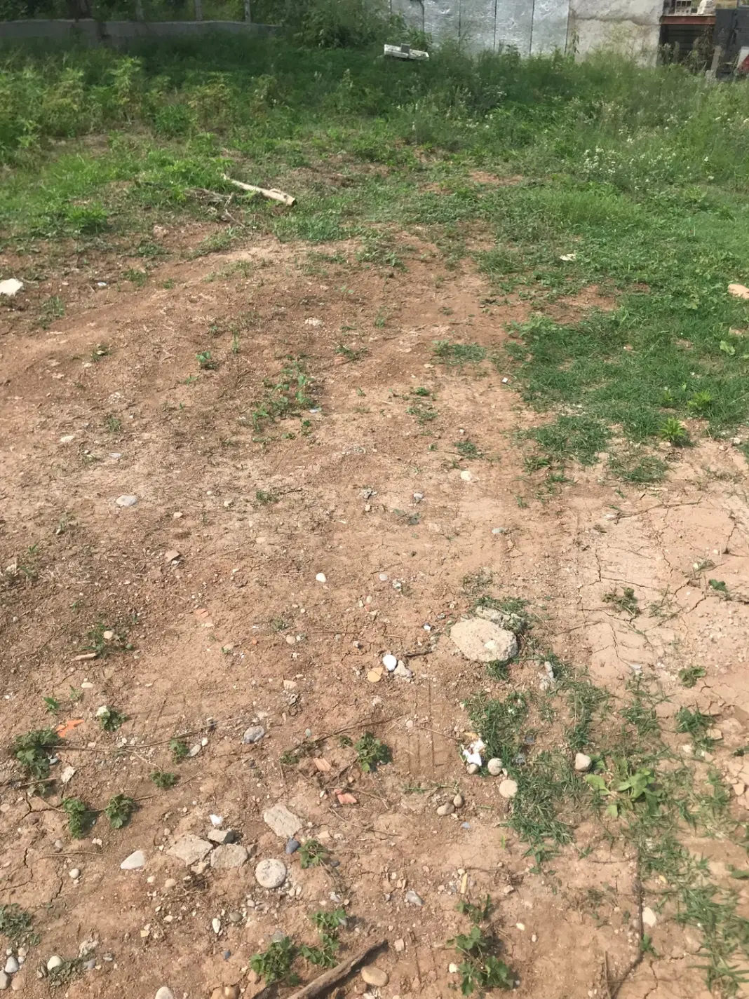 فروش باغ در روستای شاه افرا