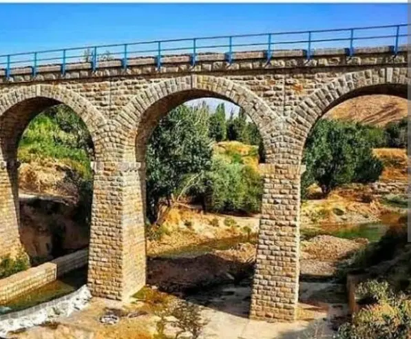 زمین مسکونی ،تجاری در روستای ضامنجان