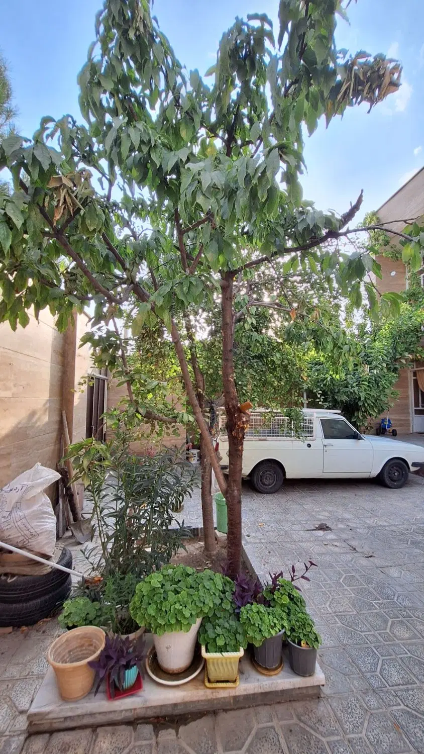 فروش یک واحد ویلایی