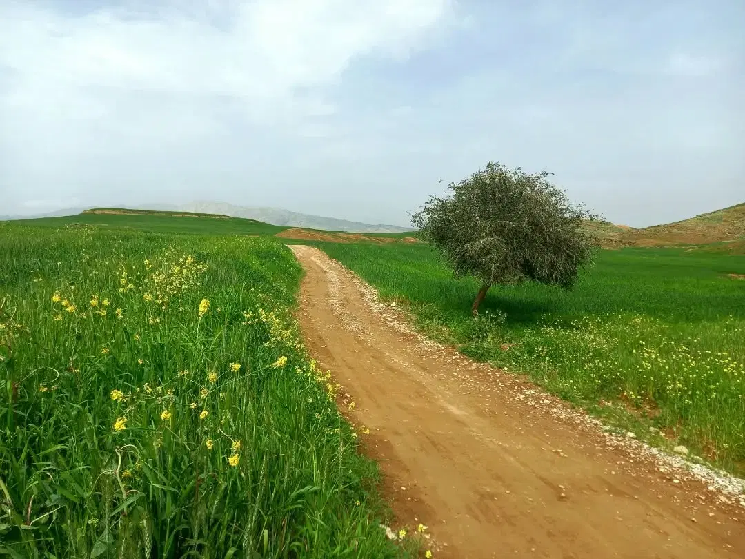 باغ پریکدان