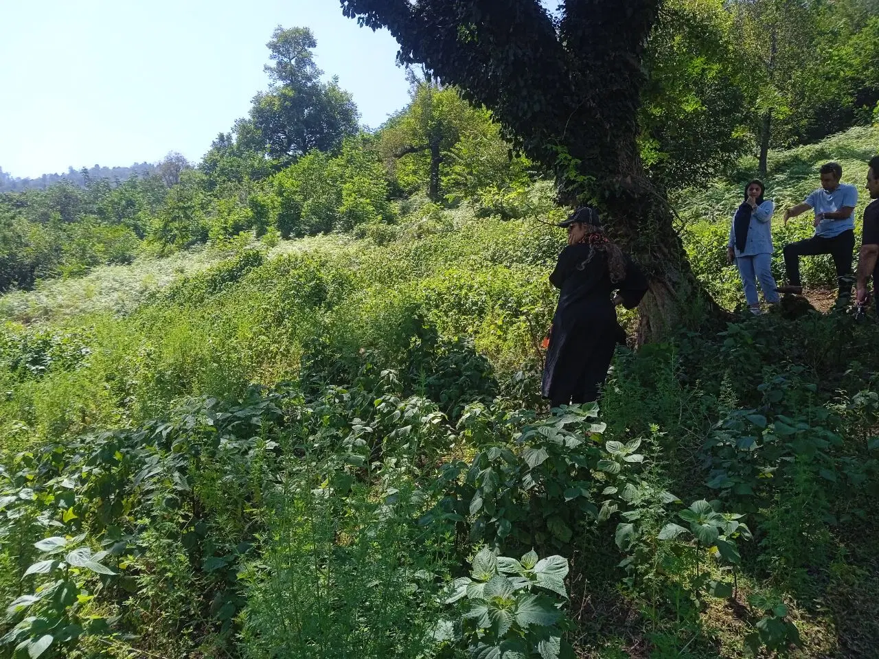 زمین ویلایی