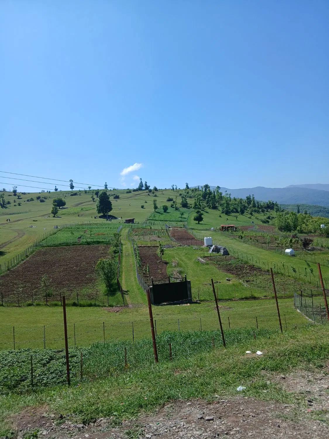 فروش ۳۰۰۰ متر زمین باغی مسطح در چوبر شفت