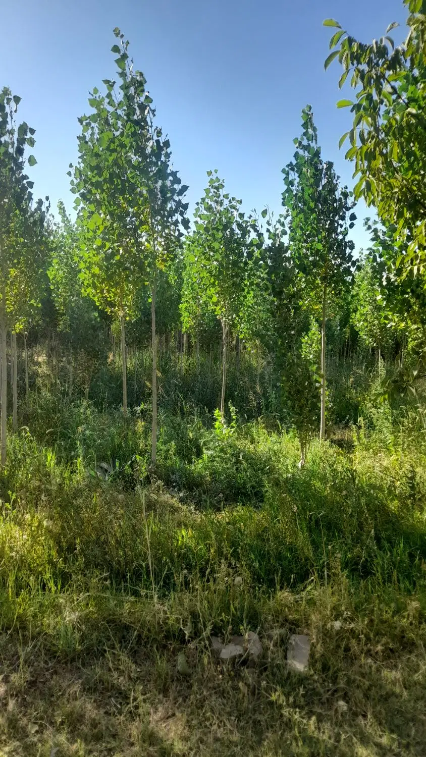 فروش ملک.