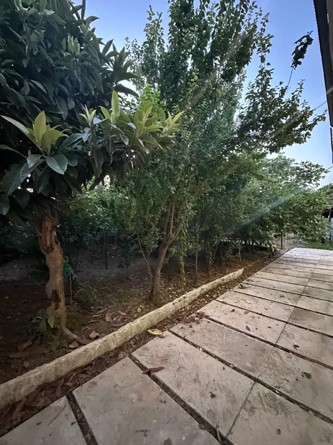 ویلا در لشت نشا