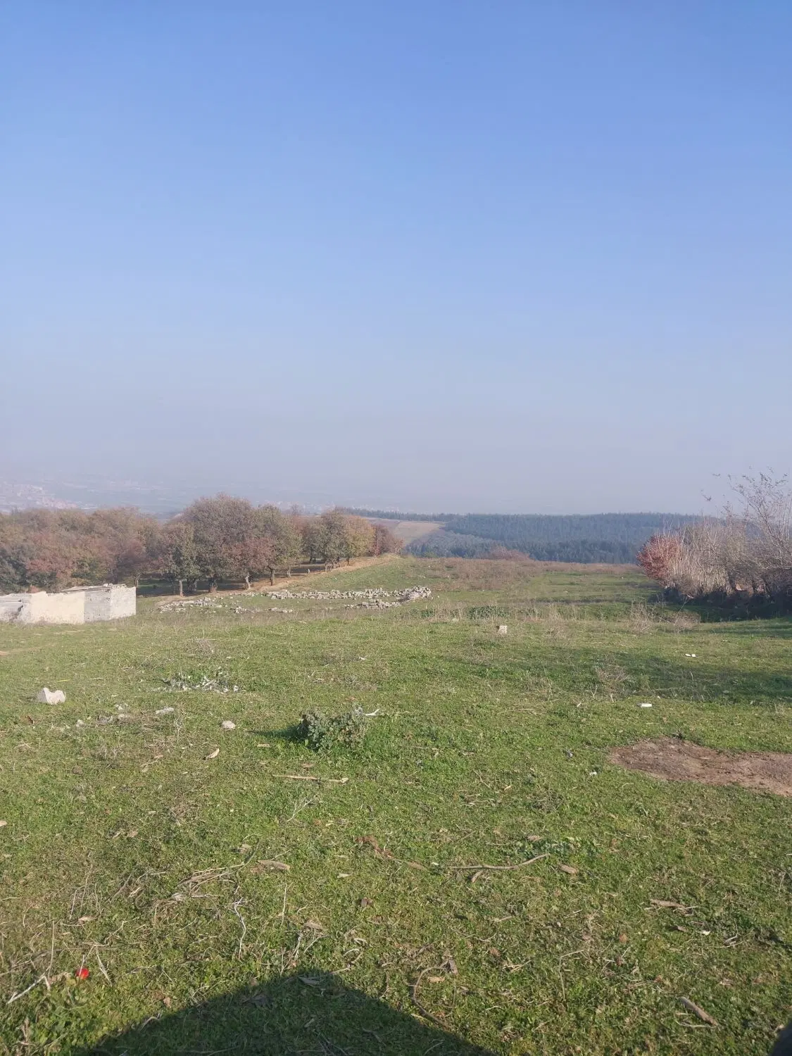 زمین پارتیان