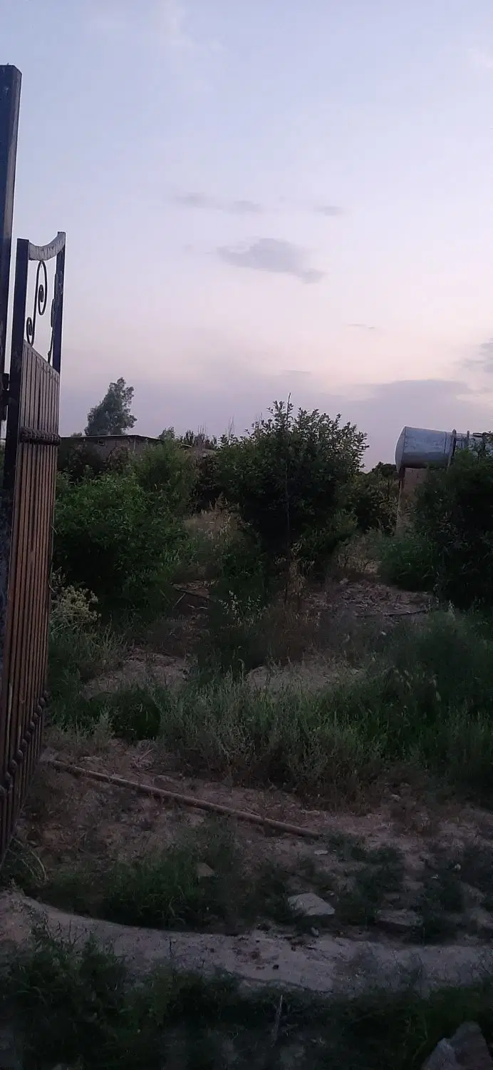 باغ